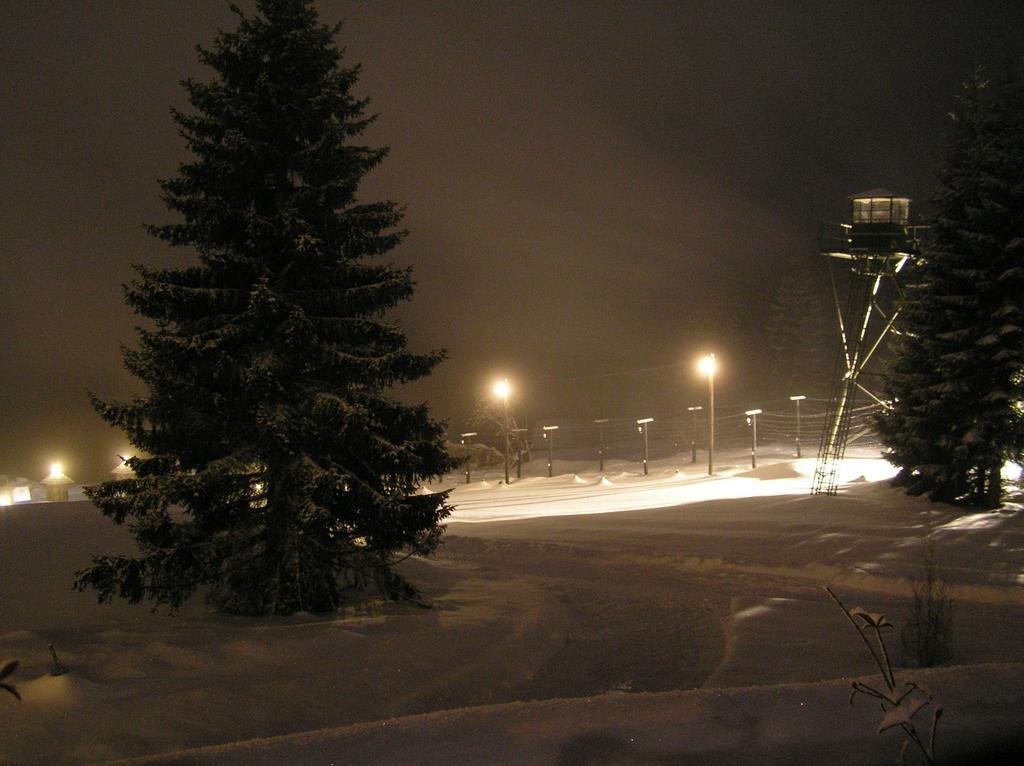 Hotel Alpska Vyhlidka Kvilda Exteriör bild