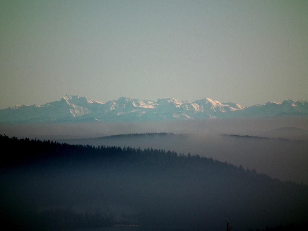 Hotel Alpska Vyhlidka Kvilda Exteriör bild